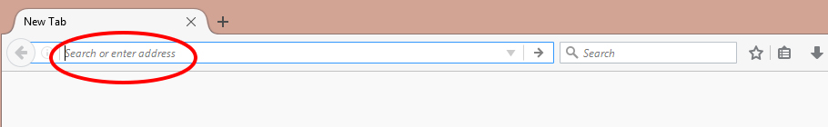 Screenshot showing the Firefox address bar